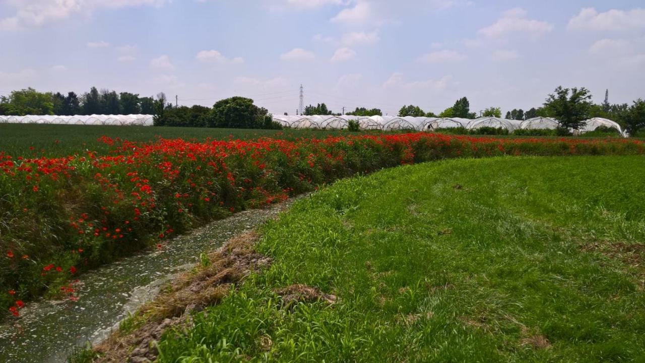 Agriturismo Cipolli E Podo Corte Carlini Mantova Bagian luar foto