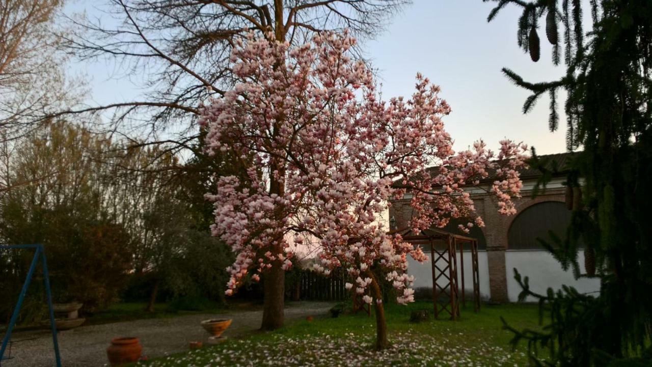 Agriturismo Cipolli E Podo Corte Carlini Mantova Bagian luar foto
