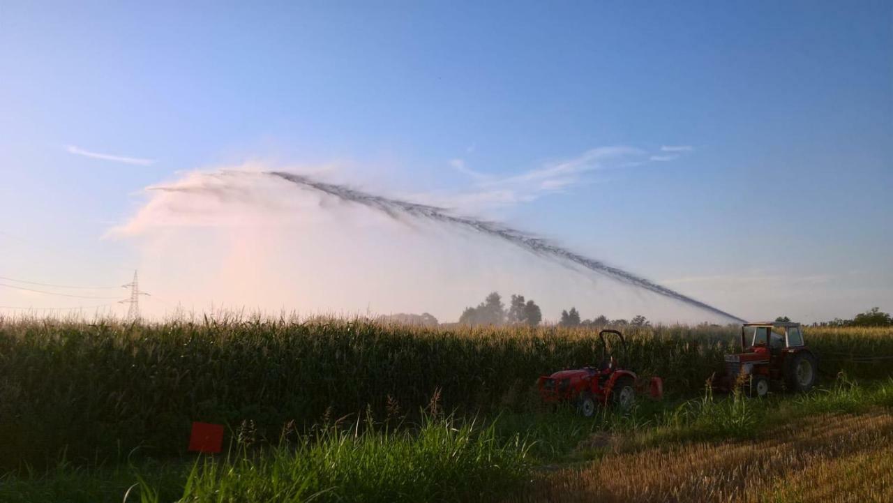 Agriturismo Cipolli E Podo Corte Carlini Mantova Bagian luar foto