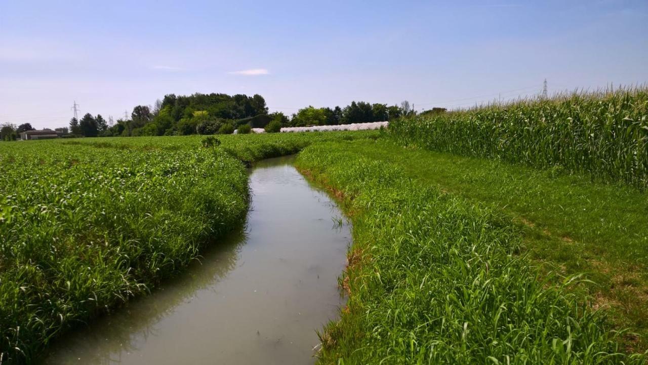 Agriturismo Cipolli E Podo Corte Carlini Mantova Bagian luar foto