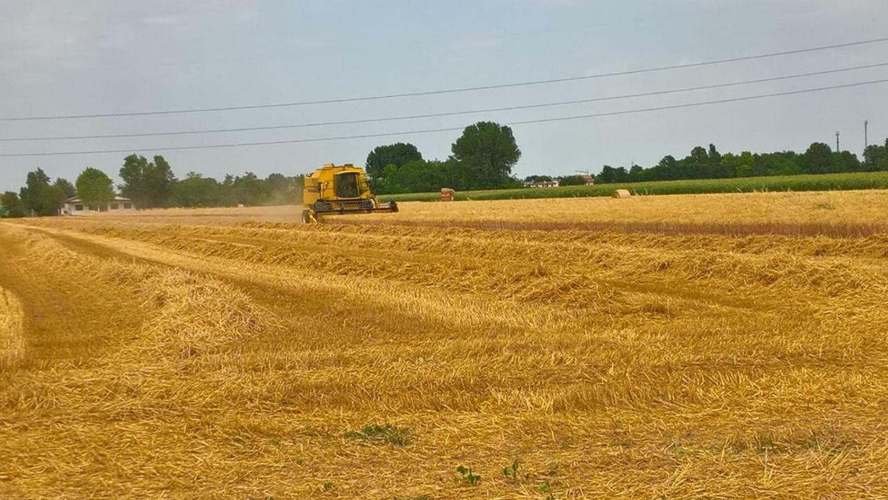Agriturismo Cipolli E Podo Corte Carlini Mantova Bagian luar foto